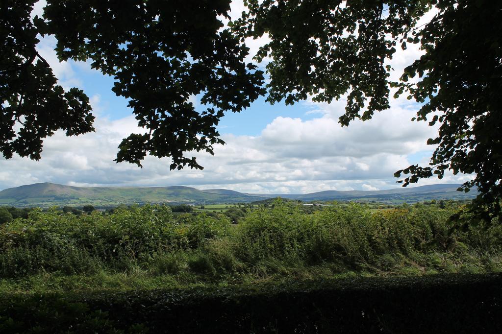 Ballyhargan Farm House Dungiven Eksteriør bilde